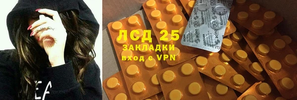 индика Касимов