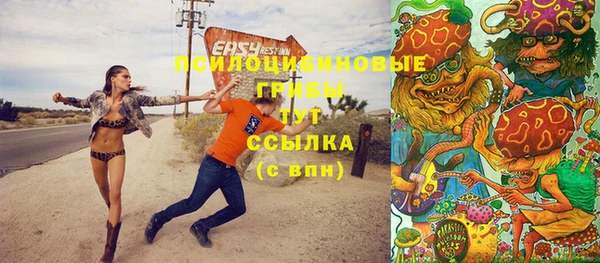 индика Касимов