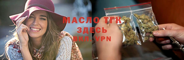 индика Касимов