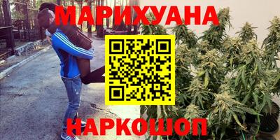 PSILOCYBIN Гагарин