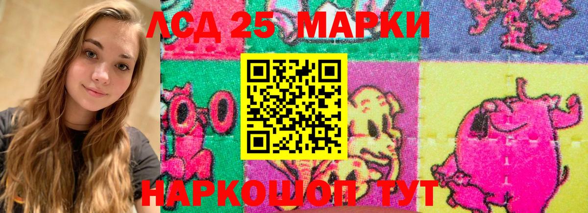 APVP Кизилюрт