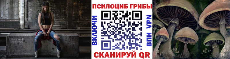Псилоцибиновые грибы прущие грибы продажа наркотиков Кизилюрт