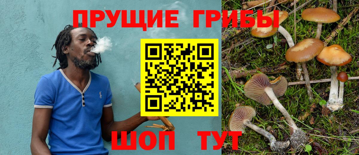 где можно купить наркотик  Псилоцибиновые грибы MAGIC MUSHROOMS  Вход с VPN  Кизилюрт 