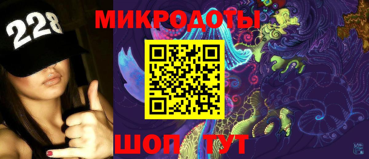 Псилоцибиновые грибы Psilocybe Кизилюрт